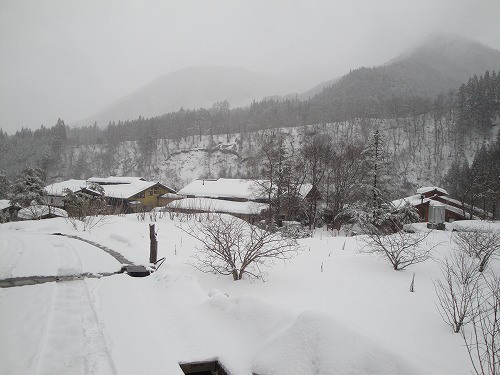 草円雪.jpg